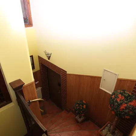 Hostel Kolibri Lviv